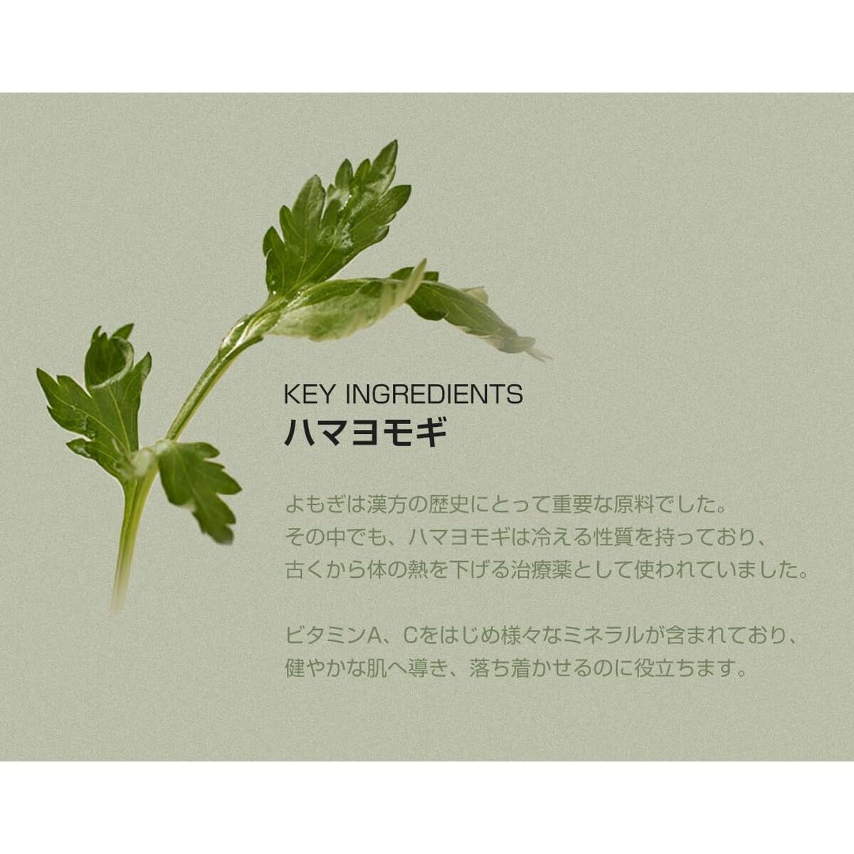 Beauty Of Joseon, Beauty Of Joseon, Mugwort & Camilia, Sunscreen Stick, SPF 50+, 18 g